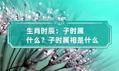 生肖时辰：子时属什么？ 子时属相是什么生肖?