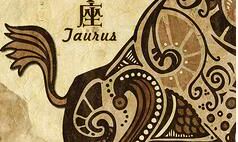 金牛座与水瓶座配对