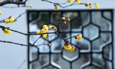 2019年立春是哪一天,立春和除夕是同一天吗？