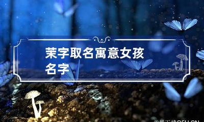 茉字取名寓意女孩名字