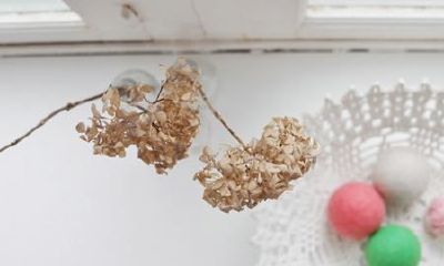 怎样给新生儿取名字 鸡年宝宝起名方法