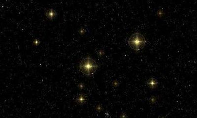 金牛座图片大全【专辑10】