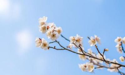 2019年立春是腊月三十吗？2019年立春几点几分？