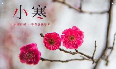 小寒养生注意事项？小寒养生的禁忌？