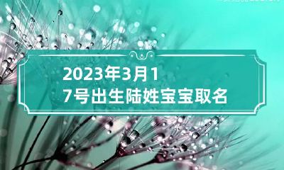 2023年3月17号出生陆姓宝宝取名叫什么