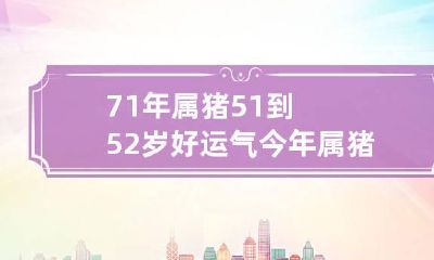 71年属猪51到52岁好运气 今年属猪的人运气怎么样