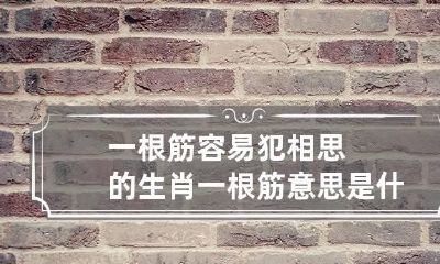 一根筋容易犯相思的生肖 一根筋意思是什么