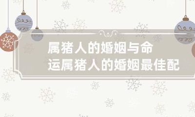 属猪人的婚姻与命运 属猪人的婚姻最佳配偶
