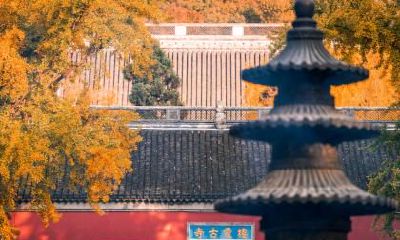 2019年雨水节气出生的女孩命运怎么样？是富贵命吗？