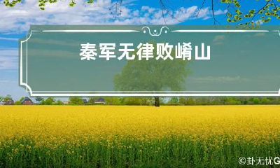 秦军无律败崤山