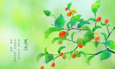 2019年生肖猪雨水节气出生的命运怎么样？几月出生好？