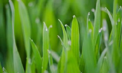 2019年雨水节气的具体时辰你知道吗？是几点几分？