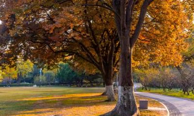 2019年雨水节气这天的日子好吗，财神方位在哪里？