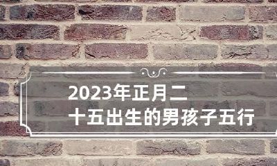 2023年正月二十五出生的男孩子五行属什么