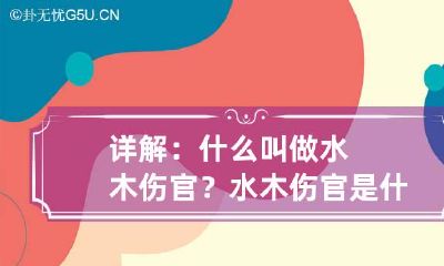 详解：什么叫做水木伤官？ 水木伤官是什么意思