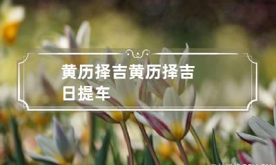 黄历择吉 黄历择吉日提车