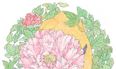 金牛座的星座守护花是什么？