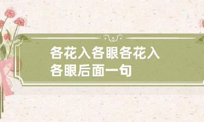 各花入各眼 各花入各眼后面一句