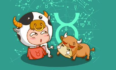 给金牛座的101句忠告