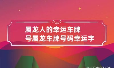 属龙人的幸运车牌号 属龙车牌号码幸运字母