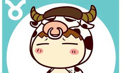 金牛座男生最配星座