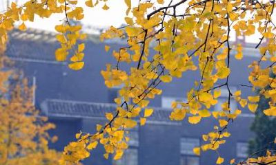 2021年农历六月十三日大暑节气是搬家吉日吗？