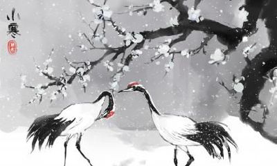 雨水节气如何养生？吃什么好？