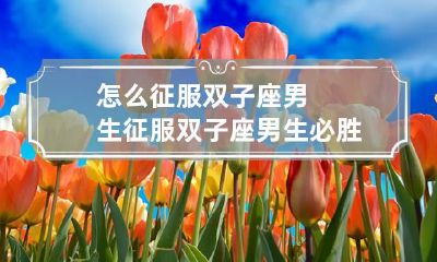 怎么征服双子座男生 征服双子座男生必胜秘诀