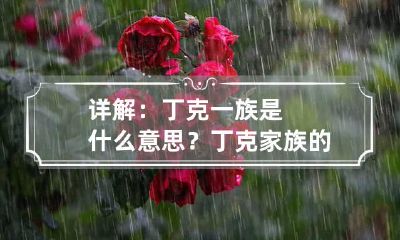 详解：丁克一族是什么意思？ 丁克家族的意思是什么