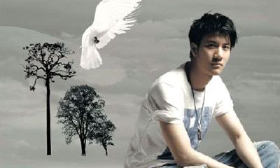 台湾第一优质偶像--金牛王力宏