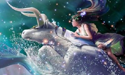 双鱼对金牛没有吸引力吗?