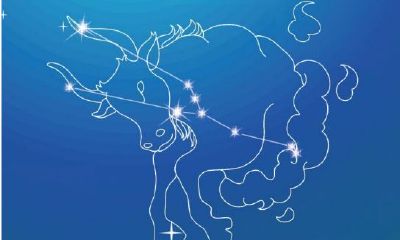 金牛座图片大全【专辑7】