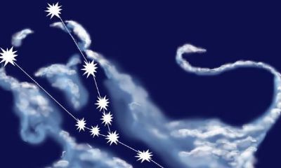 金牛座图片大全【专辑69】