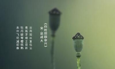 2020年红沙日谷雨日子好不好？时辰吉凶如何？