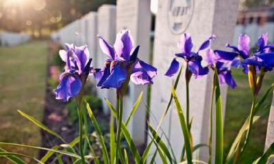 2020年农历二月十八是出殡安葬吉日吗？