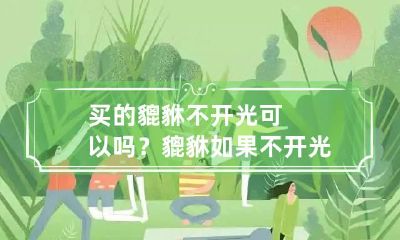 买的貔貅不开光可以吗？ 貔貅如果不开光有作用吗?