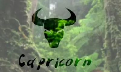 金牛座图片大全【专辑23】