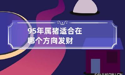 95年属猪适合在哪个方向发财