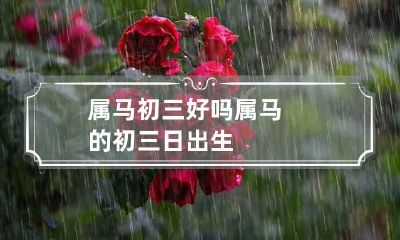 属马初三好吗 属马的初三日出生