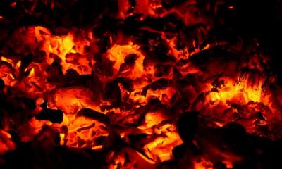 2019年12月24日是什么日子？平安夜还是圣诞节？