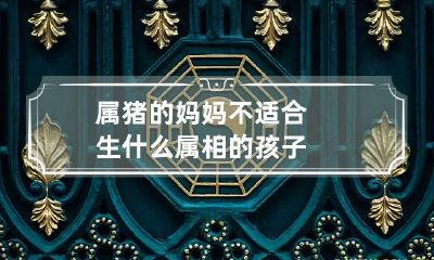 属猪的妈妈不适合生什么属相的孩子