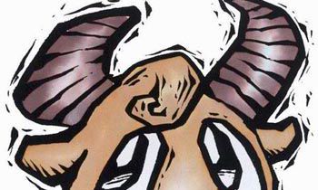 判答毒舌金牛座男