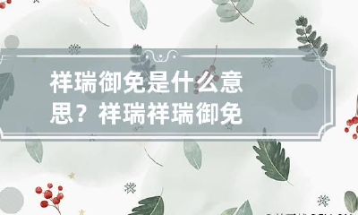 祥瑞御免是什么意思？ 祥瑞 祥瑞御免