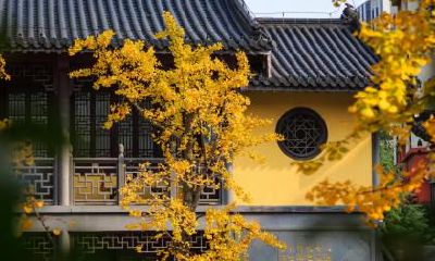 秋分时节的到来意味着什么？