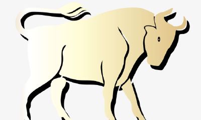 月亮金牛：唯物主义