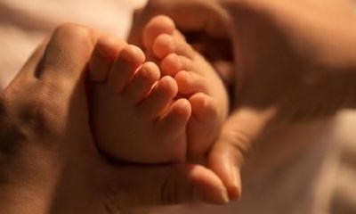 2019年农历一月正月十九出生女孩命运好吗？