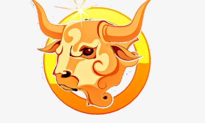 金牛座适合音乐类型--Folk、New age