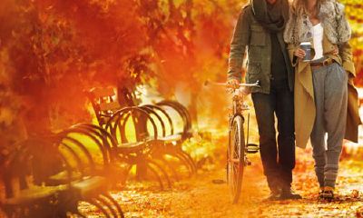 如何追求金牛女