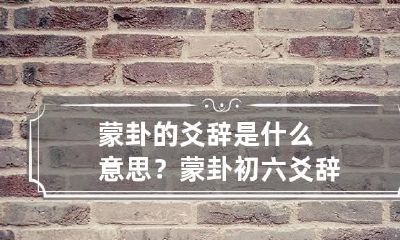 蒙卦的爻辞是什么意思？ 蒙卦初六爻辞