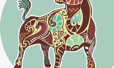 [月亮星座配对]月亮星座在金牛座